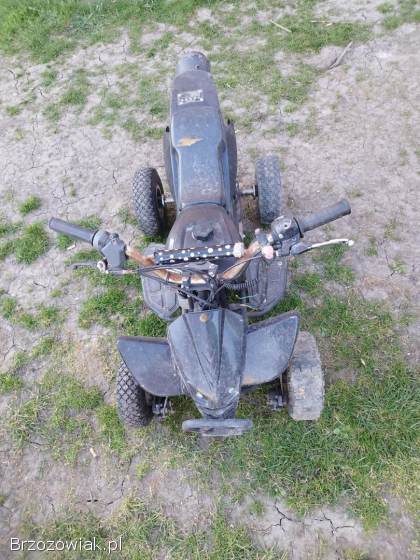 Quad 50ccm