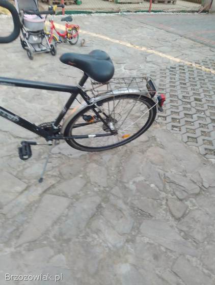 Rower
