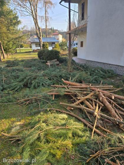 Drewno opałowe