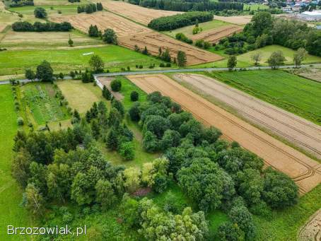 Działka budowlana w Rymanowie
