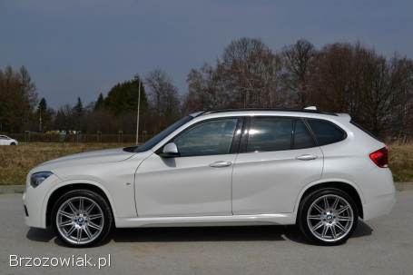 BMW X1 2014