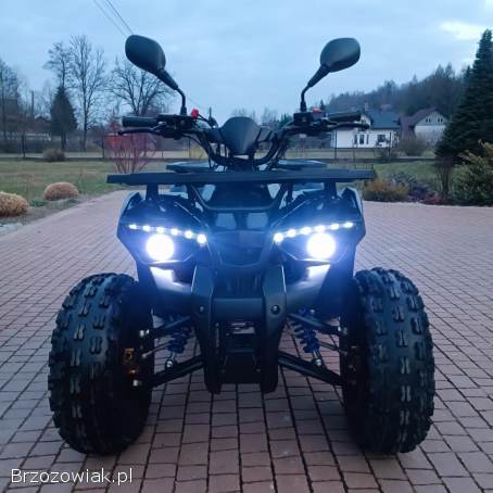 Quad Hunter 125