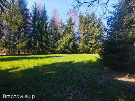 DOM Z GOTOWYM WNĘTRZEM DUŻA DZIAŁKA 1500 m² MODERÓWKA