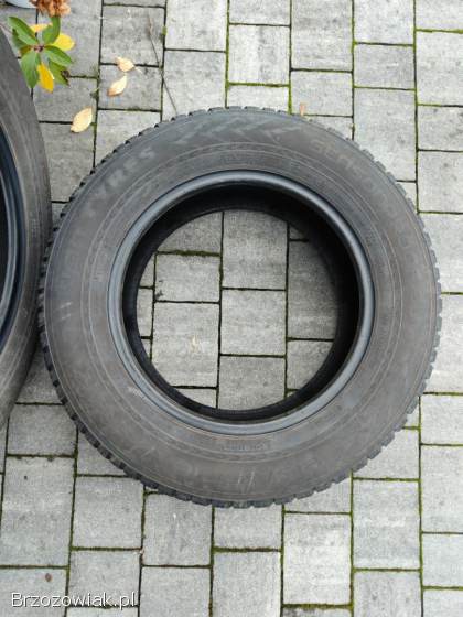 Opony Nokian 215/65/R16