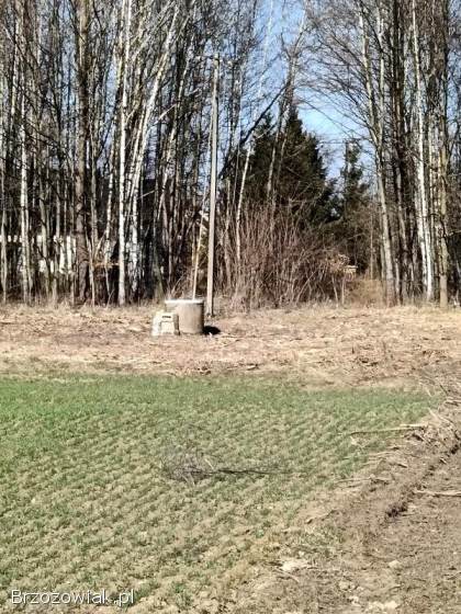 UROKLIWE DZIAŁKI W ŚWIERZOWEJ POLSKIEJ