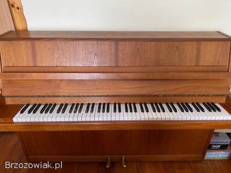 Pianino szkolne Malmsjö