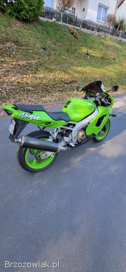 Kawasaki ZX 900 1999