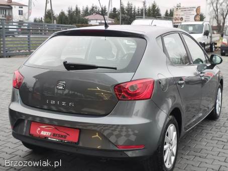 Seat Ibiza Zadbany!   2017