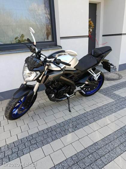 Yamaha MT 2016
