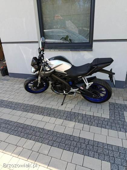 Yamaha MT 2016
