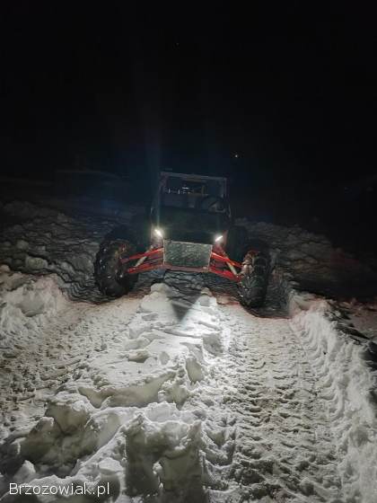 Buggy