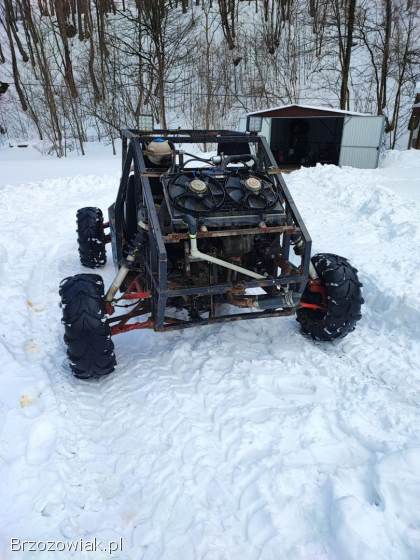 Buggy