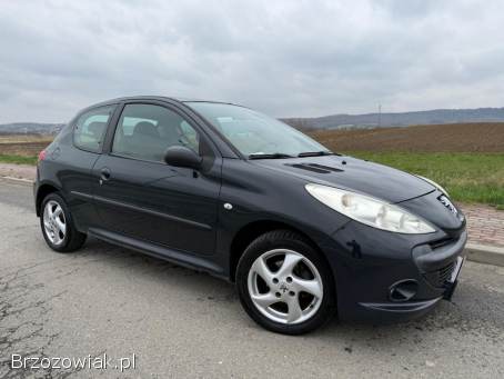 Peugeot 206 plus 1.  4B 75km 2009r 2009