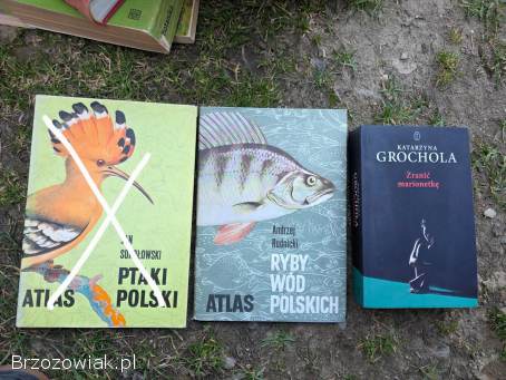 Wyprzedaż kolekcji książek okolo 3000sztuk