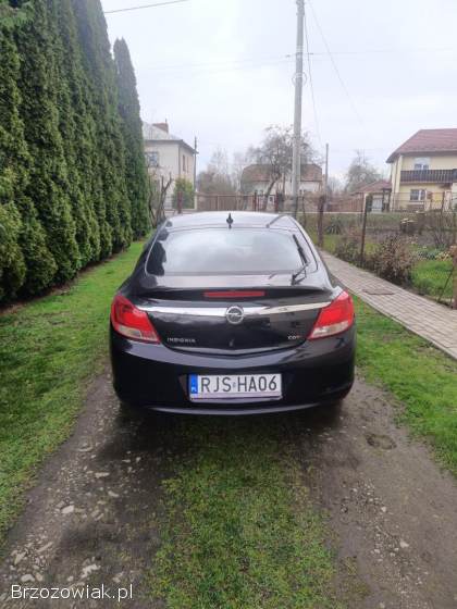 Opel Insignia 2010