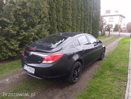 Opel Insignia 2010
