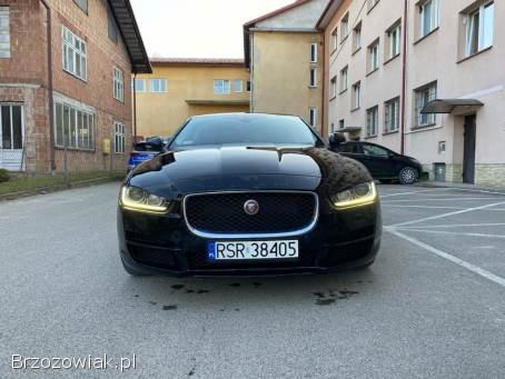 Jaguar XE 2015