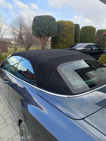 Mercedes-Benz Klasa E W 207 2011