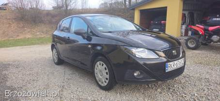 Seat Ibiza 4 2009
