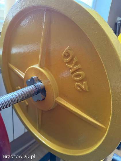 Talerze żeliwne 2x 20kg