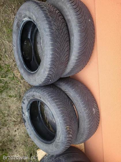 Opony Vredestein 195/65 R15