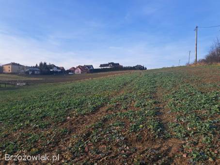 Działka 29 ar z warunkami zabudowy w Czerteżu