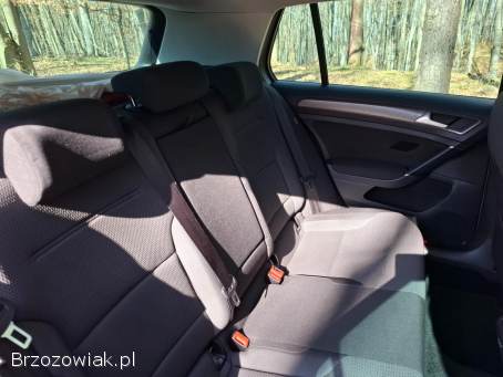 Volkswagen Golf VII diesel 1.  6TD 2017