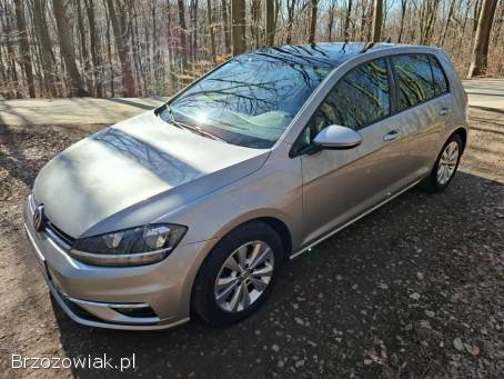 Volkswagen Golf VII diesel 1.  6TD 2017