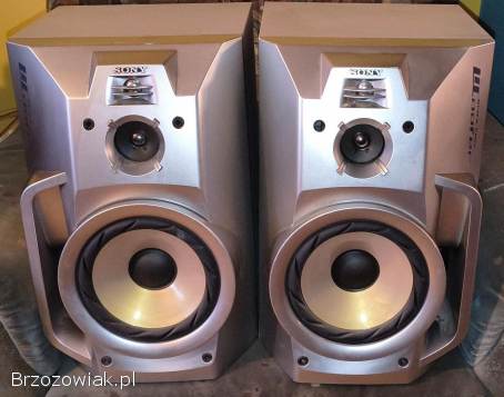 Kolumny Sony SS-MDX10 mocne i sprawne