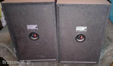 Kolumny Sony SS-MDX10 mocne i sprawne