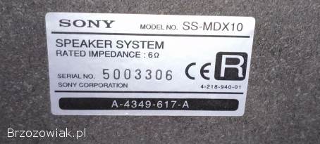 Kolumny Sony SS-MDX10 mocne i sprawne