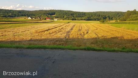 Działka rolna Zmiennica 993 m2