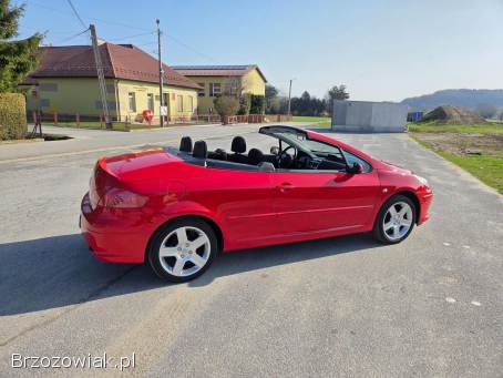 Peugeot 307 CC LIFT 2006