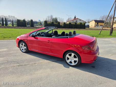 Peugeot 307 CC LIFT 2006