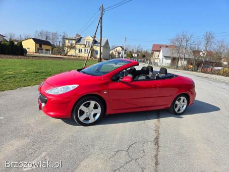 Peugeot 307 CC LIFT 2006