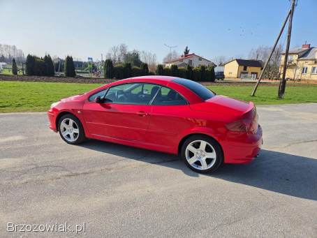 Peugeot 307 CC LIFT 2006