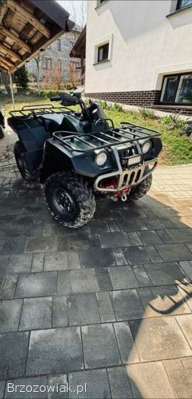 Yamaha grizzly 600