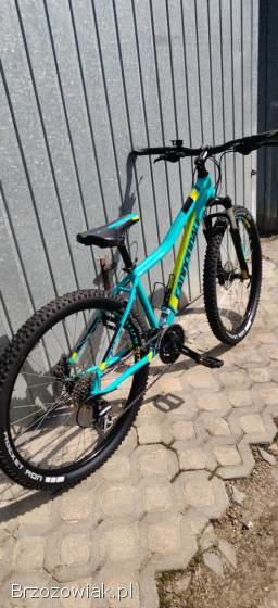 Rower Cannondale super stan