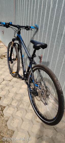 Rower Stevens super stan