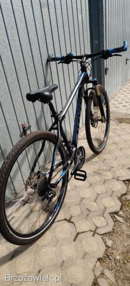 Rower Stevens super stan