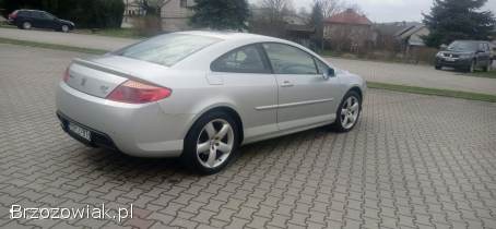 Peugeot 407 Coupe 2004