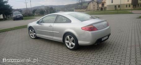Peugeot 407 Coupe 2004