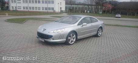 Peugeot 407 Coupe 2004