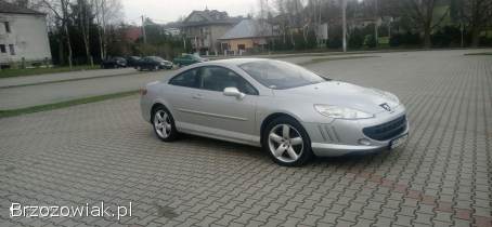 Peugeot 407 Coupe 2004