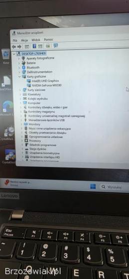Lenovo ThinkPad T14 i7 24GB RAM SSD 512GB DOTYK MX330 Win11