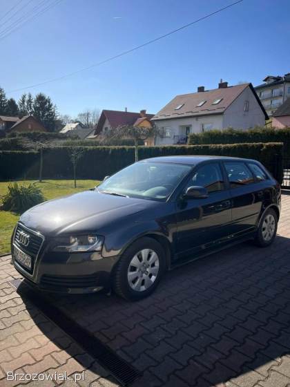 Audi A3 A3 8P 2010