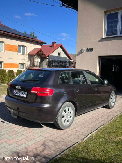Audi A3 A3 8P 2010