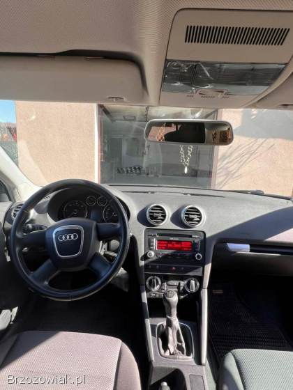 Audi A3 A3 8P 2010