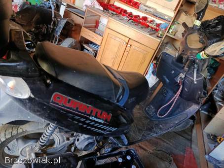 Zipp Qantum RS 2011