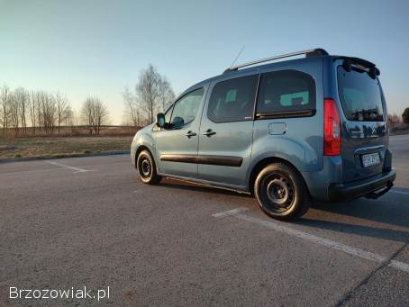 Citroën Berlingo MULTISPACE 2009